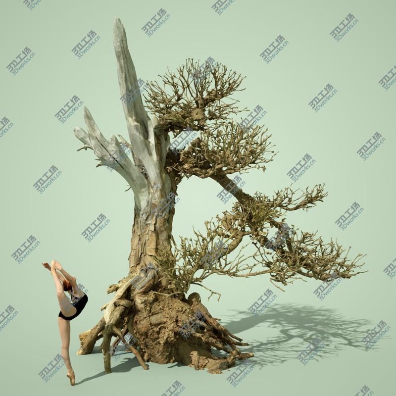 images/goods_img/2021040164/3D Stylised Dead Tree Collection/3.jpg